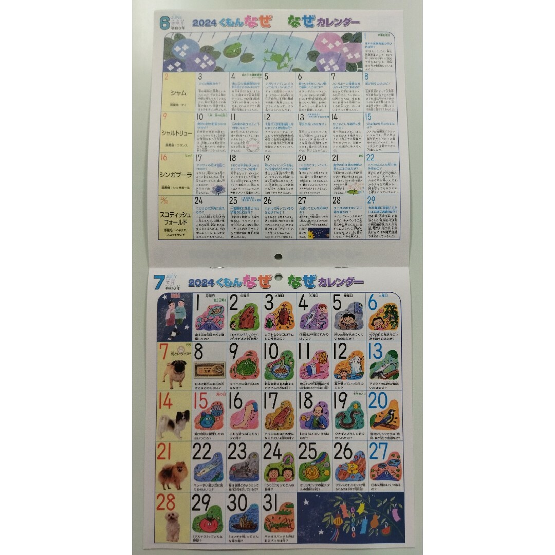 KUMON(クモン)の☆令和6年くもん なぜなぜカレンダー2024年版☆公文式 インテリア/住まい/日用品の文房具(カレンダー/スケジュール)の商品写真