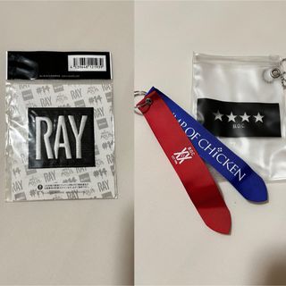 BUMP OF CHICKEN ワッペン・リボン・ビニールケースセット　RAY(ミュージシャン)