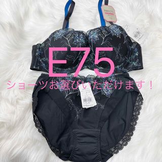 トリンプ(Triumph)のトリンプ 天使のブラ スリムライン 極上ライト564 ブラジャーE75(ブラ&ショーツセット)