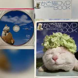 猫の写真集 「かご猫DVD BOOK」 Shironeko、ブログ写真集(住まい/暮らし/子育て)