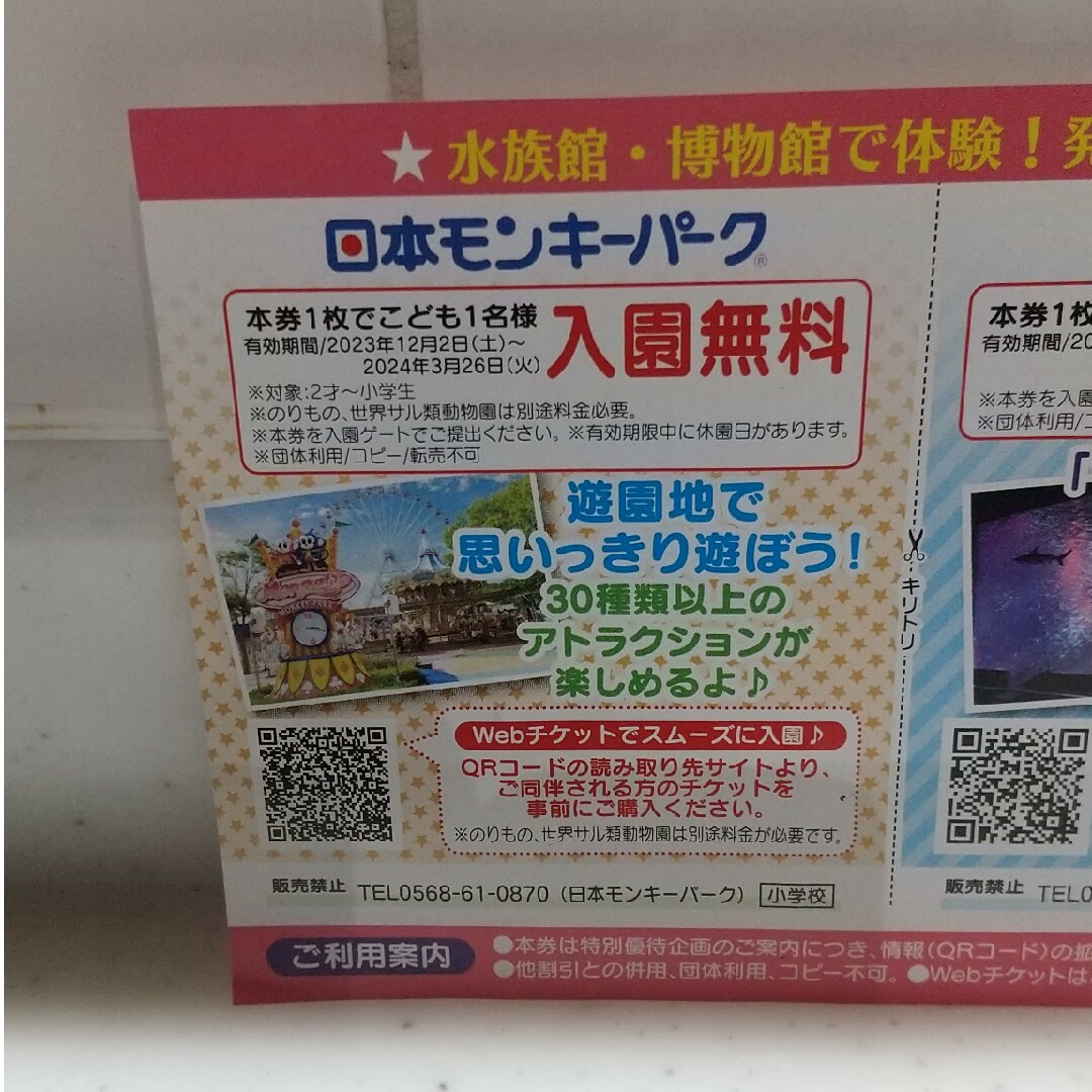 モンキーパーク　南知多ビーチランド　こども１名入園無料　リトルワールド割引券　　 チケットの施設利用券(遊園地/テーマパーク)の商品写真