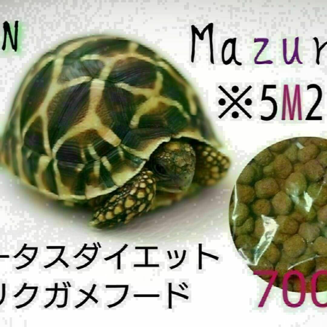 mazuri トータスダイエット5M21 700g リクガメフード その他のペット用品(爬虫類/両生類用品)の商品写真