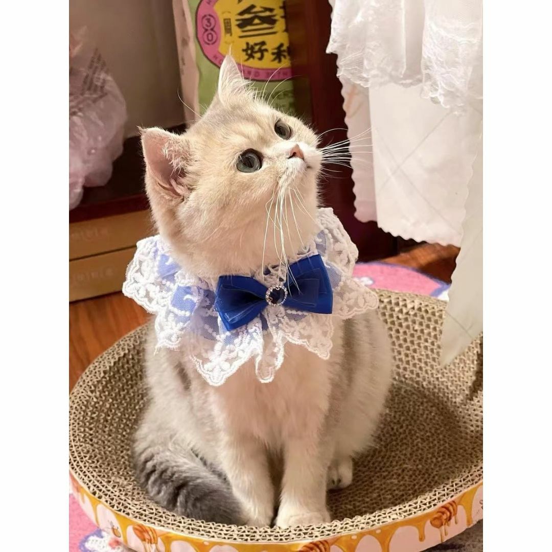 GHOSTCAT 猫首輪 犬首輪 リボン かわいい首輪 猫くびわ 猫 项圈 蕾丝 その他のペット用品(猫)の商品写真