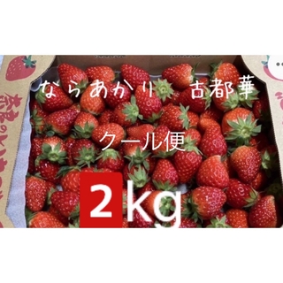 ならあかり　古都華　2kg 加工用　いちご　苺　イチゴ　ことか　コトカ　奈良県(フルーツ)