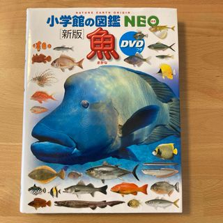 小学館の図鑑NEO 新版　魚さかな　DVDつき(絵本/児童書)