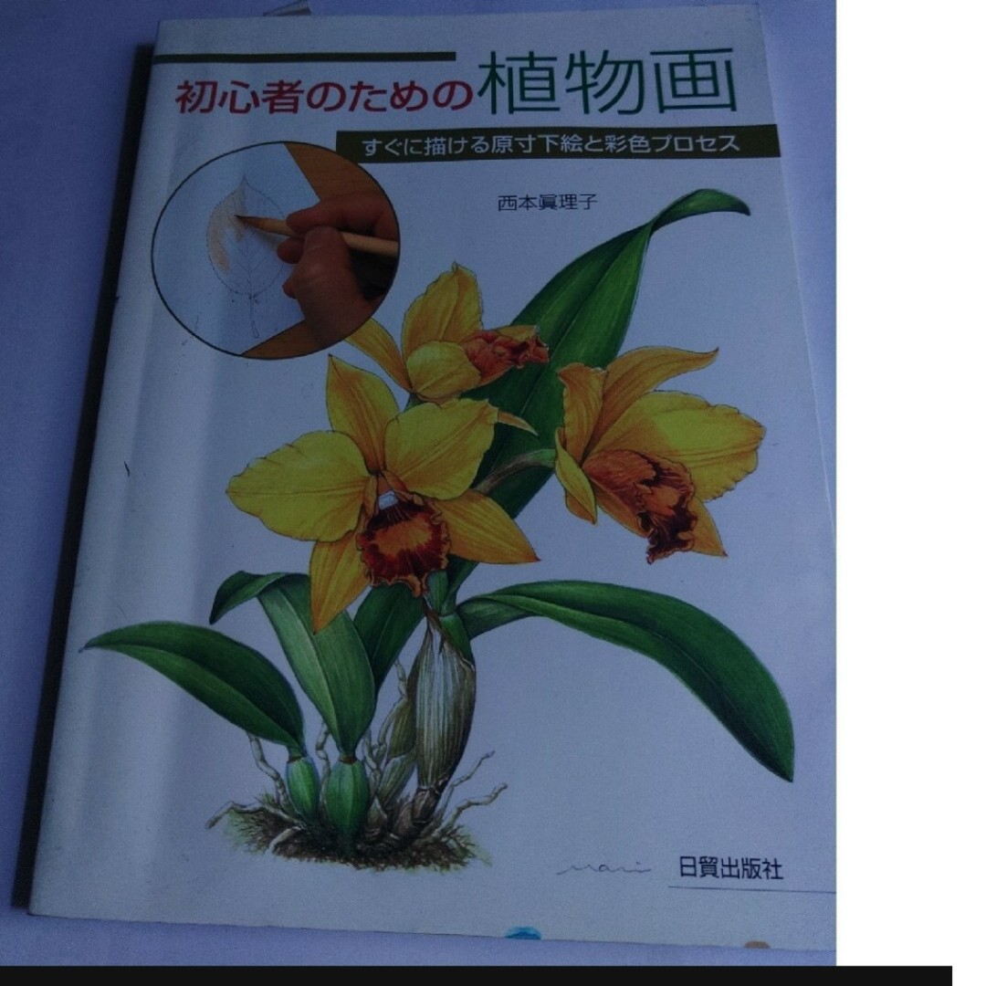 やさしく学ぶ植物画・初心者のための植物画 エンタメ/ホビーの本(アート/エンタメ)の商品写真
