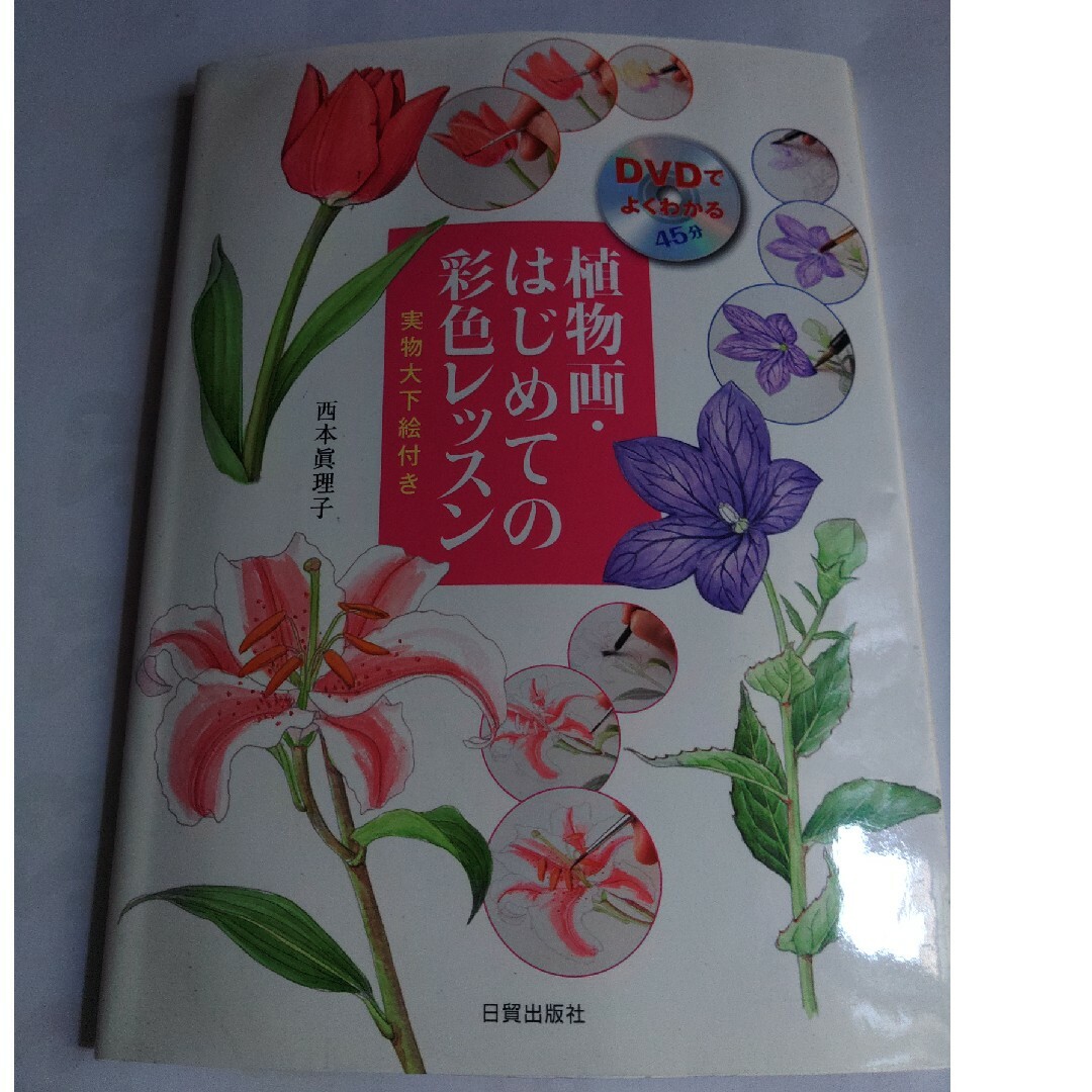植物画・はじめての彩色レッスン エンタメ/ホビーの本(アート/エンタメ)の商品写真