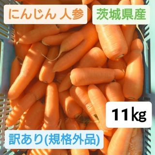 にんじん 人参 規格外品 11㎏ 送料込 茨城県産 農家直送 ジュース用 加工用(野菜)