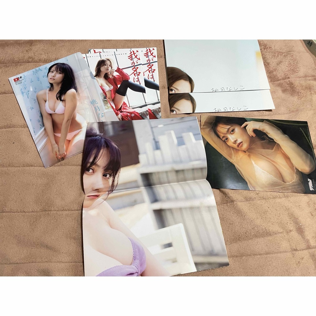 PLAYBOY(プレイボーイ)の桃月なしこセット エンタメ/ホビーのDVD/ブルーレイ(アイドル)の商品写真