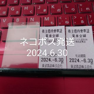 東武鉄道株主優待乗車証2枚東武鉄道　有効期限2024年6月30日まで(鉄道乗車券)