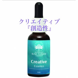 クリエイティブ[Creative]『創造性』オーストラリアンブッシュ(その他)