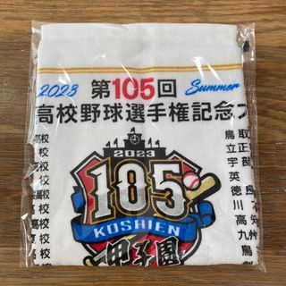 甲子園　高校野球　タオルハンカチ　105回(記念品/関連グッズ)