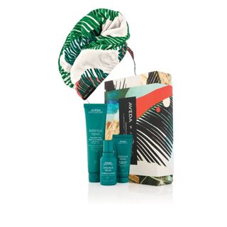 アヴェダ(AVEDA)のAVEDA ﾎﾘﾃﾞｰ ﾎﾞﾀﾆｶﾙ ﾘﾍﾟｱ ﾍﾞｰｼｯｸ ﾍｱｹｱ ｷﾞﾌﾄ(シャンプー/コンディショナーセット)