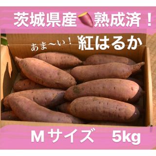 【訳あり】熟成済！茨城県産さつまいも紅はるかMサイズ5kg(野菜)