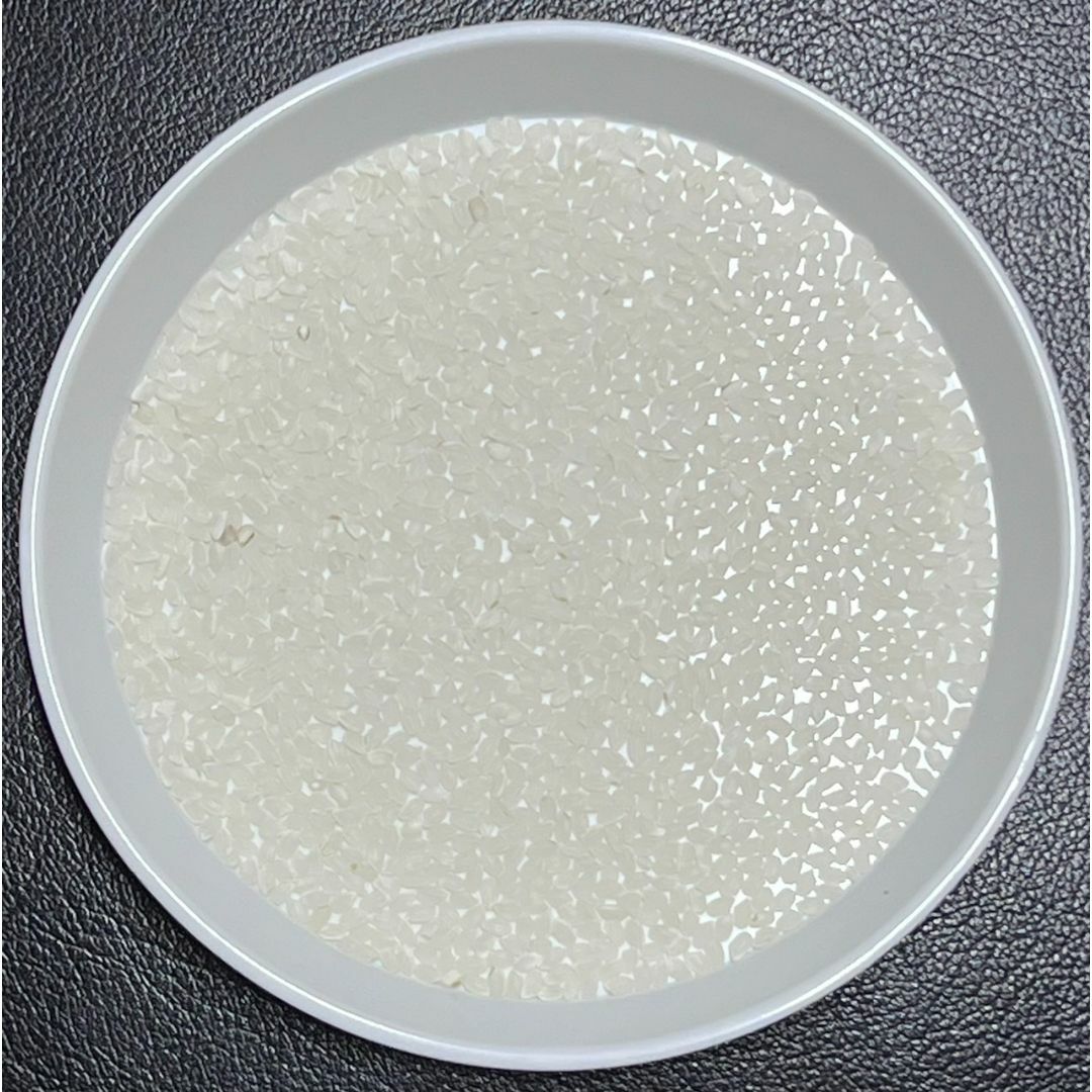 白米 約27kg 京都 丹後 米 コシヒカリ 送料無料