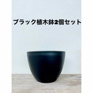 新品　ブラック植木鉢2個セット　Agave グラキリス(プランター)