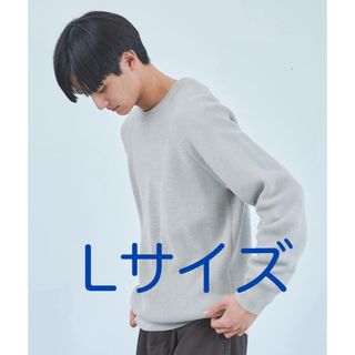 ユナイテッドアローズグリーンレーベルリラクシング(UNITED ARROWS green label relaxing)のgreen label relaxing ニット(ニット/セーター)