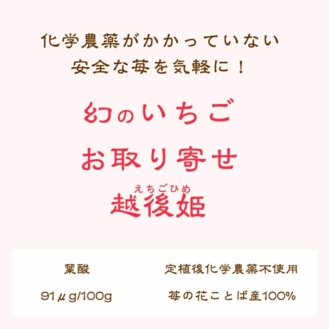 雪国完熟いちご越後姫約400g １パック9?11粒約200g×２入り 食品/飲料/酒の食品(フルーツ)の商品写真