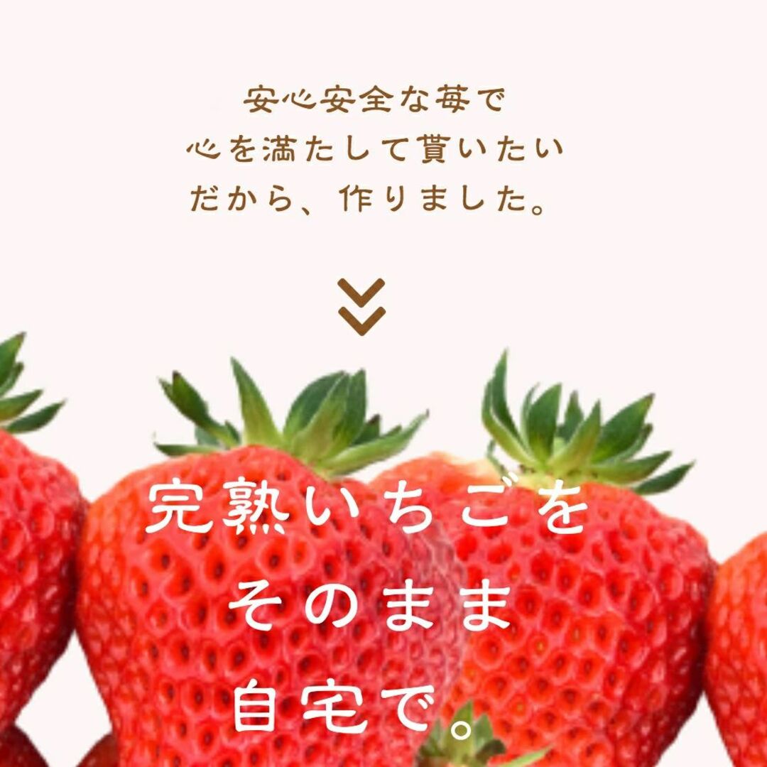 雪国完熟いちご越後姫約400g １パック9?11粒約200g×２入り 食品/飲料/酒の食品(フルーツ)の商品写真