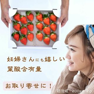 雪国完熟いちご越後姫約400g １パック9?11粒約200g×２入り(フルーツ)