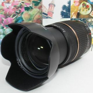 タムロン(TAMRON)の✨万能大三元レンズ✨タムロン 28-75mm F2.8 キャノン用✨(デジタル一眼)