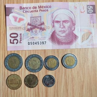 メキシコ紙幣　ポリマー(貨幣)