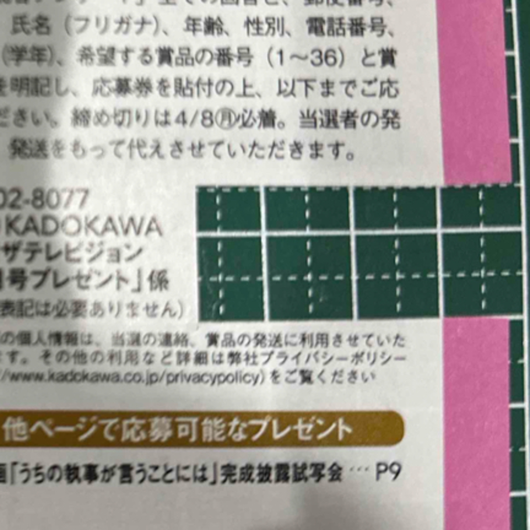 Johnny's(ジャニーズ)の月刊 ザテレビジョン首都圏版 2019年 05月号  エンタメ/ホビーの雑誌(音楽/芸能)の商品写真