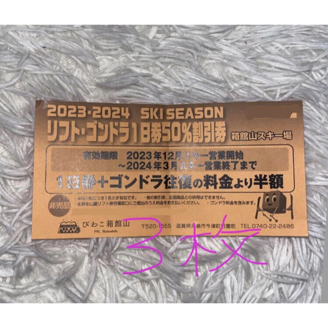 箱館山スキー場　リフトゴンドラ1日券2枚セット施設利用券