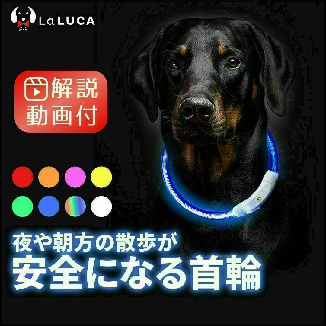 犬 c060-pin-M 光る首輪 LED ライト USB充電式 おしゃれ その他のペット用品(犬)の商品写真