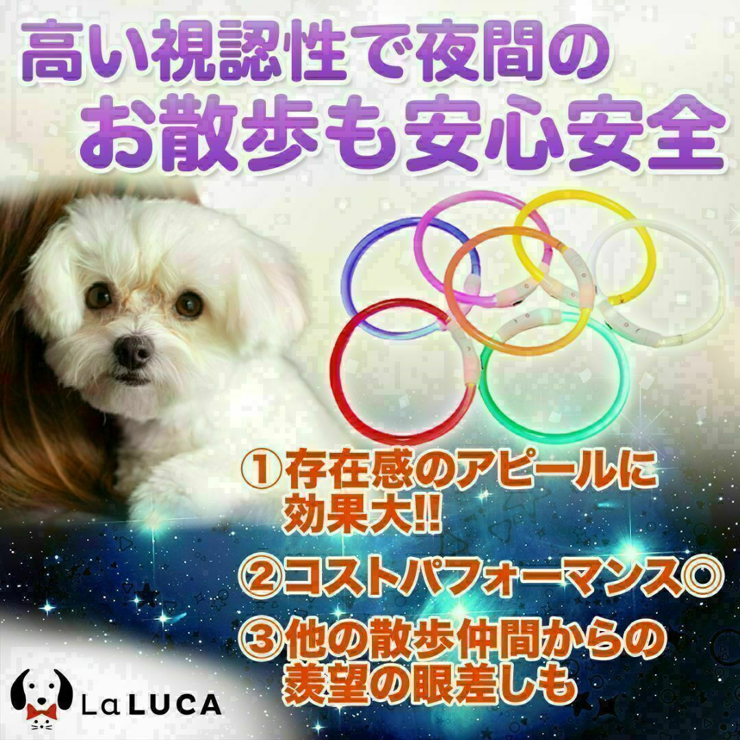 犬 c060-pin-M 光る首輪 LED ライト USB充電式 おしゃれ その他のペット用品(犬)の商品写真