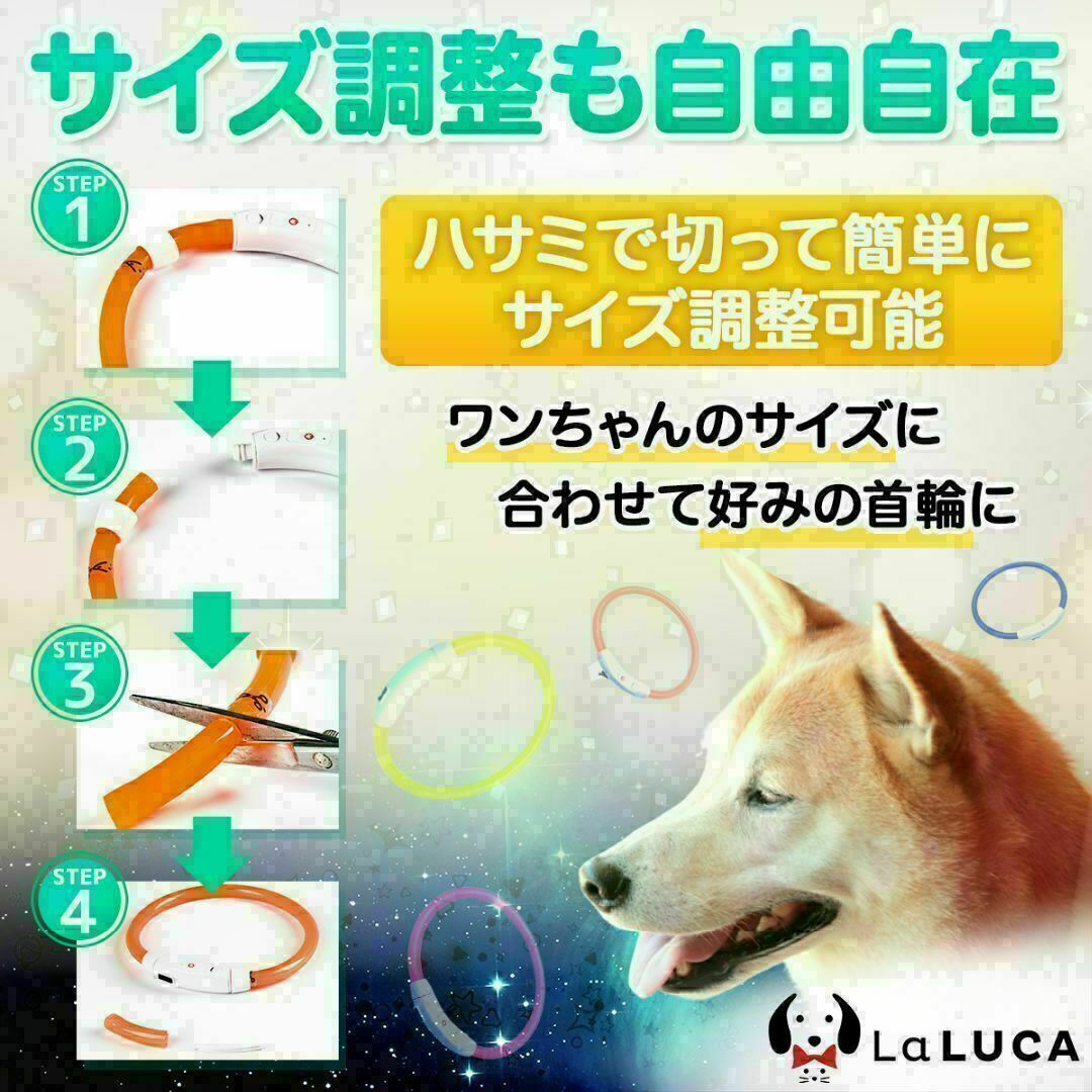 犬 c060-pin-M 光る首輪 LED ライト USB充電式 おしゃれ その他のペット用品(犬)の商品写真