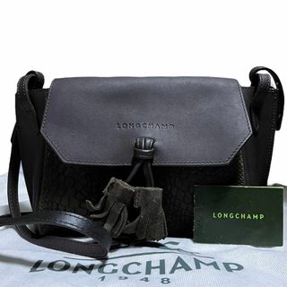 ロンシャン レザー ショルダーバッグ(メンズ)の通販 21点 | LONGCHAMP