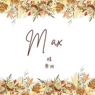 Max様専用☆多肉植物(その他)