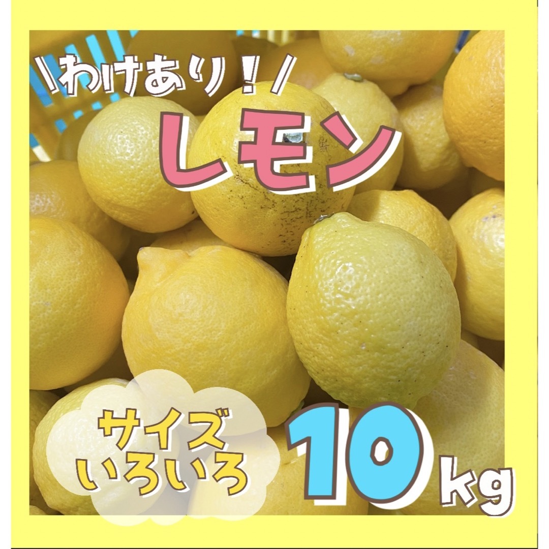 訳あり！和歌山県産 レモン 10kg サイズ混合 れもん 柑橘 食品/飲料/酒の食品(フルーツ)の商品写真