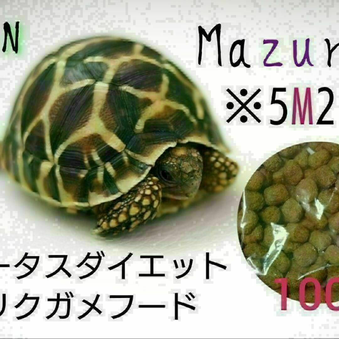 mazuri トータスダイエット5M21 100g リクガメフード その他のペット用品(爬虫類/両生類用品)の商品写真