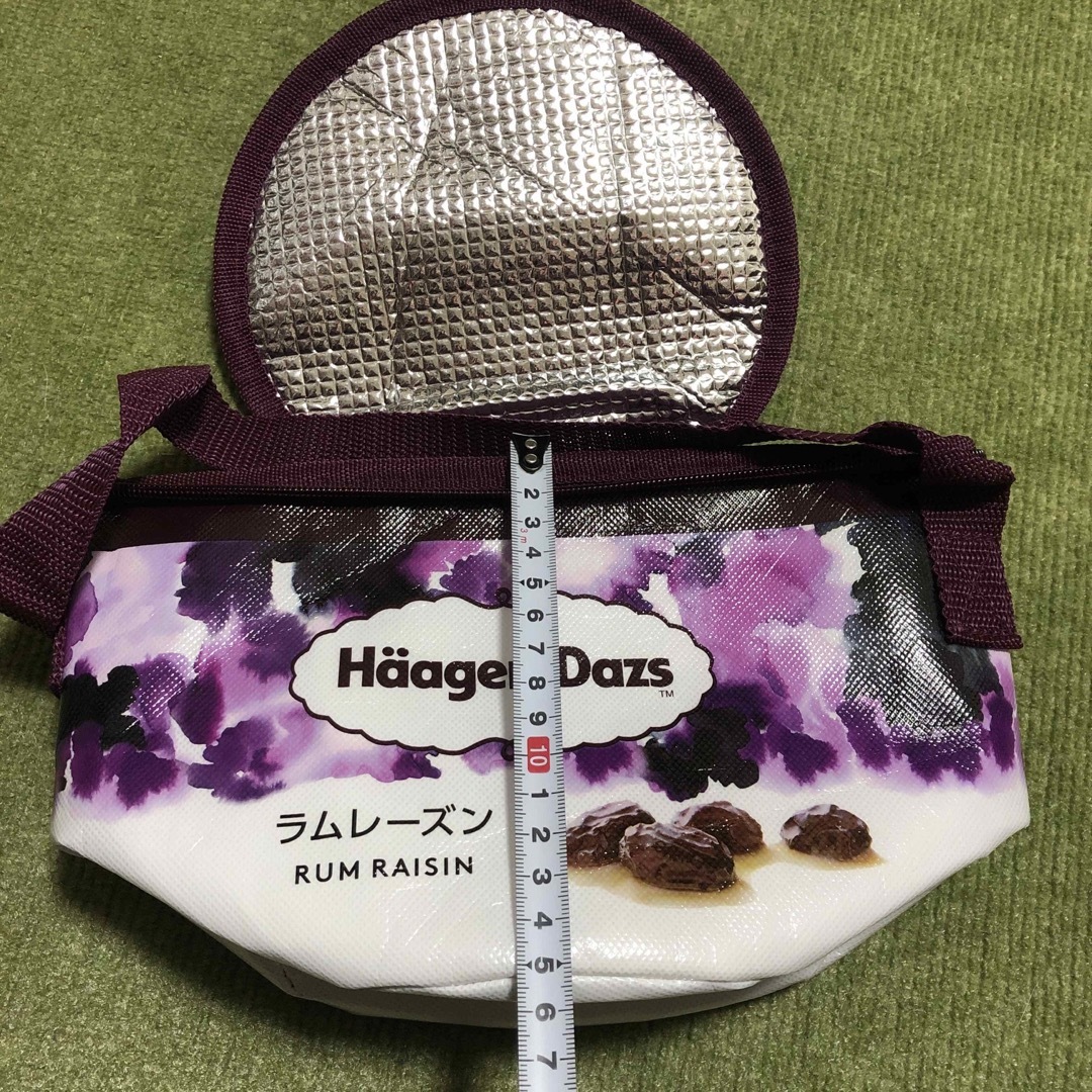 Haagen-Dazs(ハーゲンダッツ)のハーゲンダッツ　保冷バッグ　ラムレーズン エンタメ/ホビーのコレクション(ノベルティグッズ)の商品写真