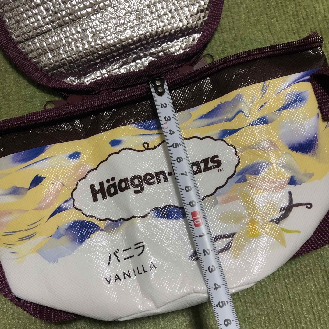 Haagen-Dazs(ハーゲンダッツ)のハーゲンダッツ　保冷バッグ　バニラ エンタメ/ホビーのおもちゃ/ぬいぐるみ(キャラクターグッズ)の商品写真