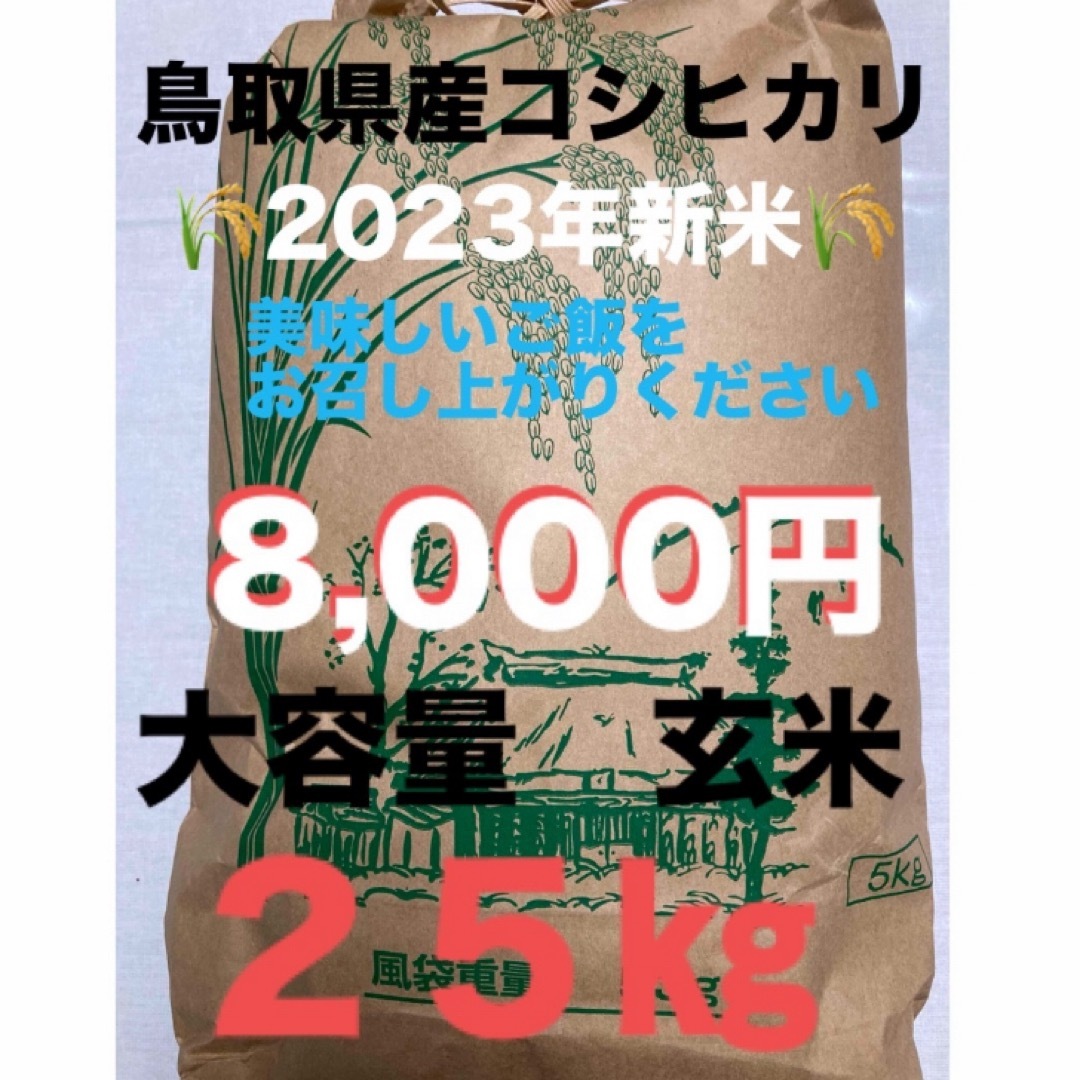 食品/飲料/酒????新米２５㎏（玄米）コシヒカリ