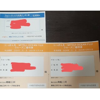 商船三井　フェリーとクルーズの株主優待券(その他)