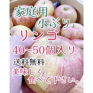 1月15日発送。会津の葉取らず家庭用小ぶりリンゴ(フルーツ)