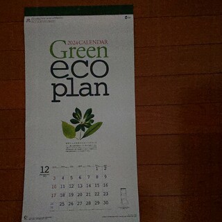 2024 壁掛けカレンダー グリーンエコ 3ヶ月(カレンダー/スケジュール)