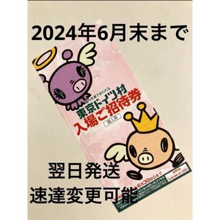 最新 東京ドイツ村 入場ご招待券 2024年6月30日　割引券　優待券　無料券(その他)