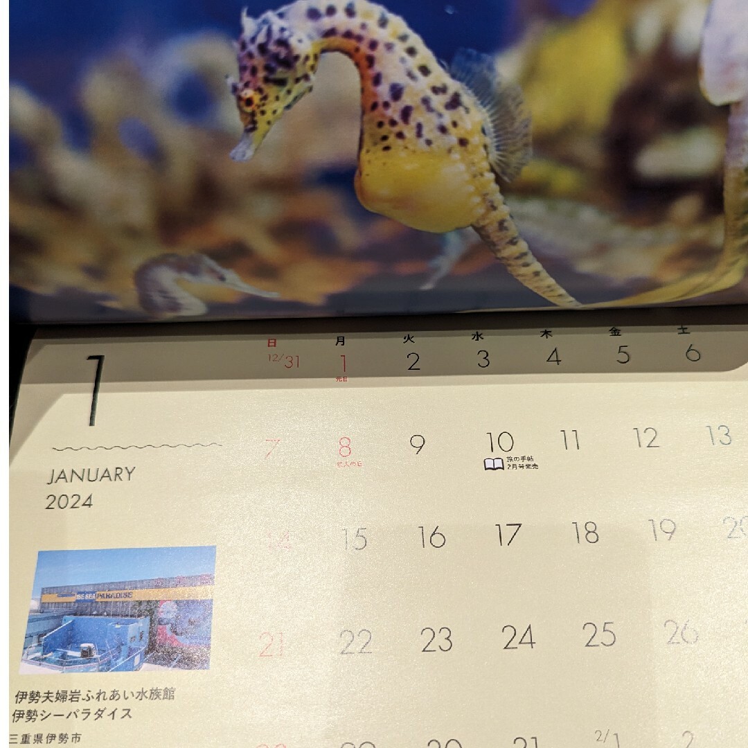 カレンダー　水族館の人気者カレンダー 2024 旅の手帖　1月号特別付録 エンタメ/ホビーの雑誌(その他)の商品写真