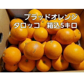 希少　熊本県産　ブラッドオレンジタロッコ　箱込5キロ(フルーツ)