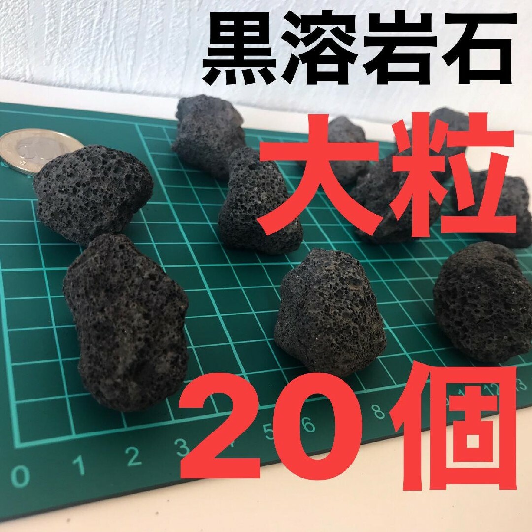 黒溶岩石　大粒20個 アクアリウム テラリウム コゲリウム ろ材 水草 ADA その他のペット用品(アクアリウム)の商品写真