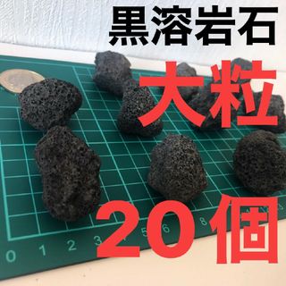 黒溶岩石　大粒20個 アクアリウム テラリウム コゲリウム ろ材 水草 ADA(アクアリウム)