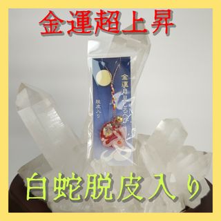 さんさん様専用ページ の通販 by mmk's shop｜ラクマ