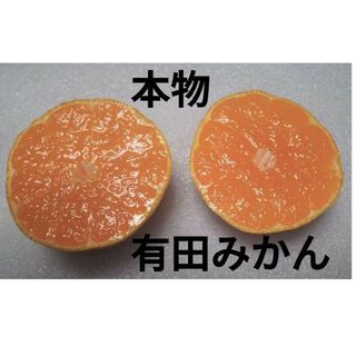 アリダミカン(有田みかん)の訳あり品 3Kg 有田みかん 無防腐剤 自消費用 限定品 和歌山特産品 日本一(フルーツ)