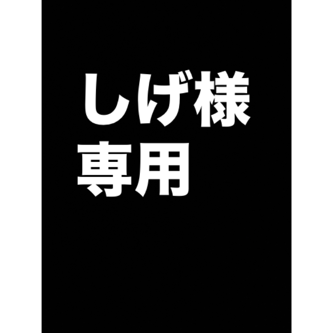 しげ様　専用 その他のその他(その他)の商品写真