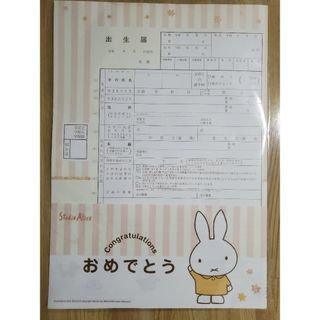 ミッフィー(miffy)の出生届　ミッフィー(その他)